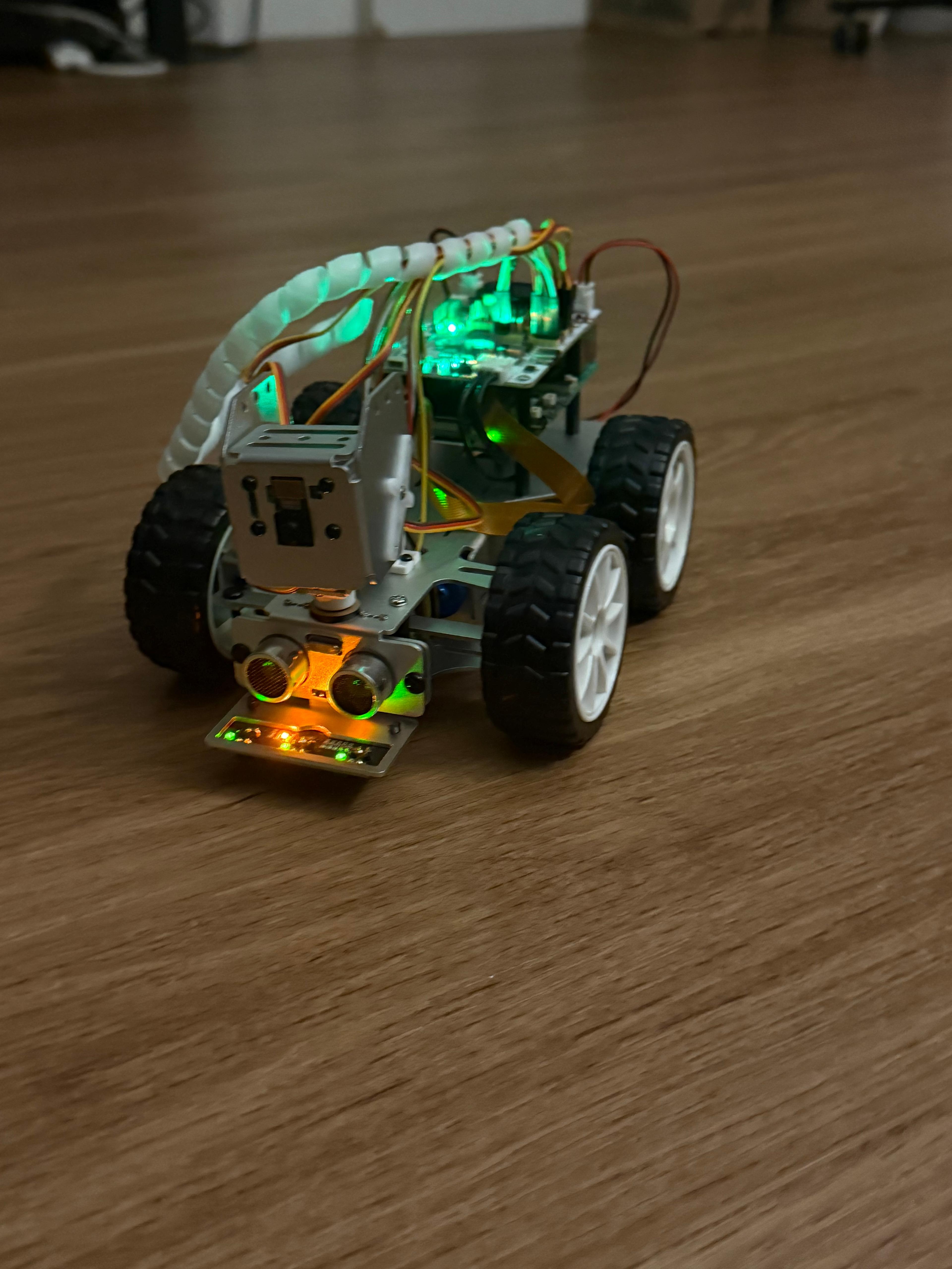 Autonomous Pet Rover